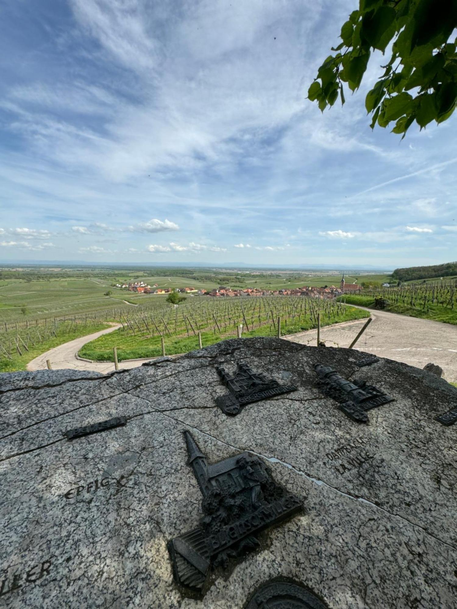 La Terasse Des Vignes - Maison 2 Chambres - 4 Personnes Blienschwiller Exteriér fotografie