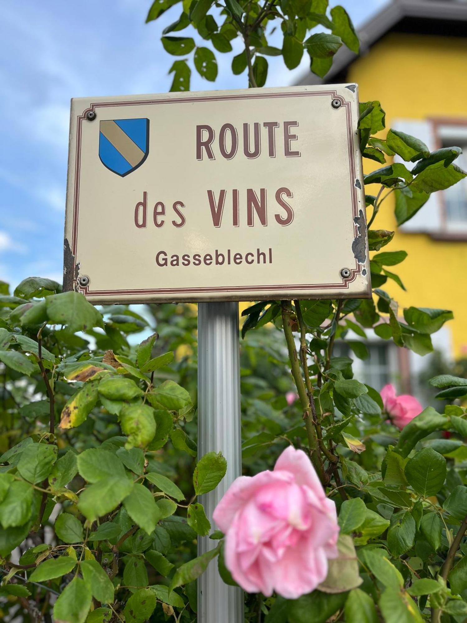 La Terasse Des Vignes - Maison 2 Chambres - 4 Personnes Blienschwiller Exteriér fotografie